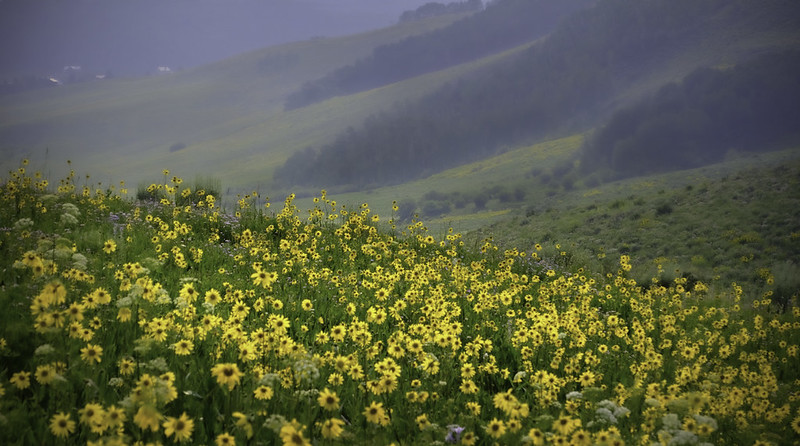 Crested Butte, Colorado