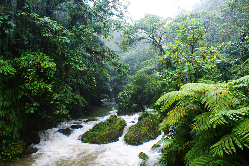 Cuetzalan, Puebla