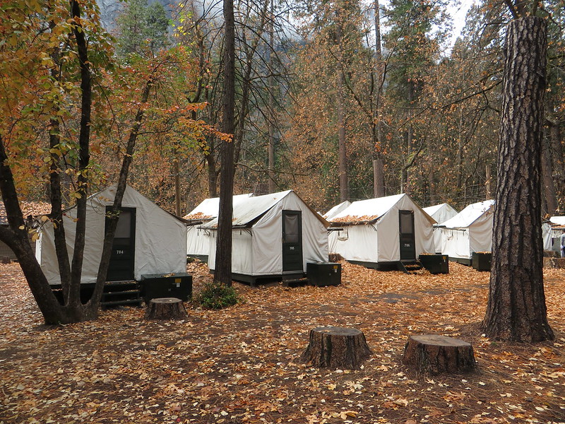 Curry Village Half Dome Village