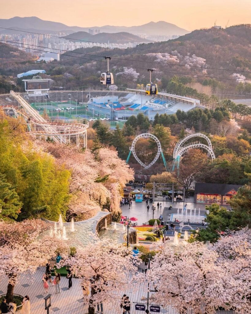 Daegu: An Overlooked Gem with Much to Offer