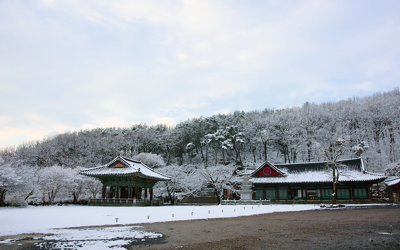 Daejeon: A City Full of Surprises