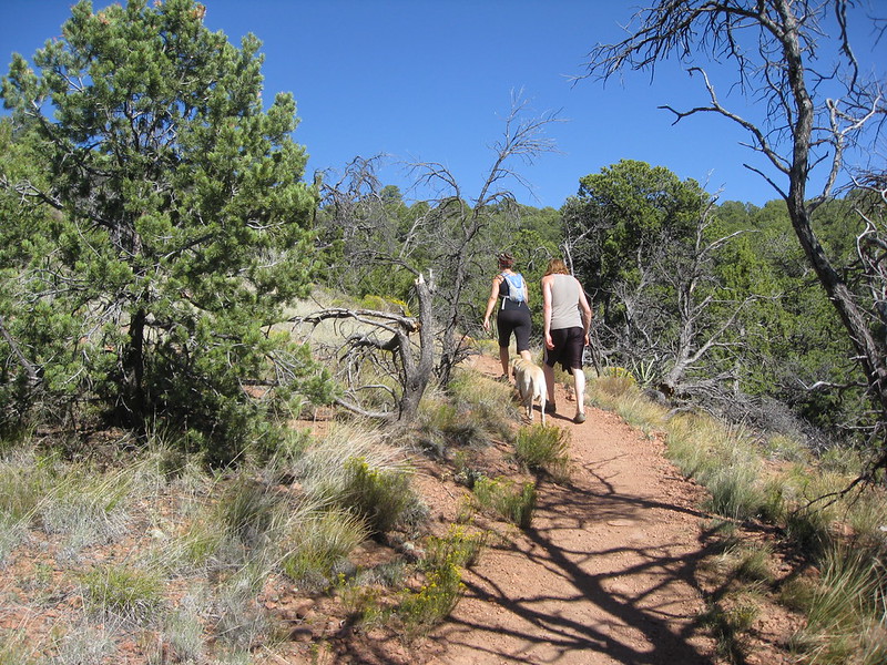 Dale Ball Trails