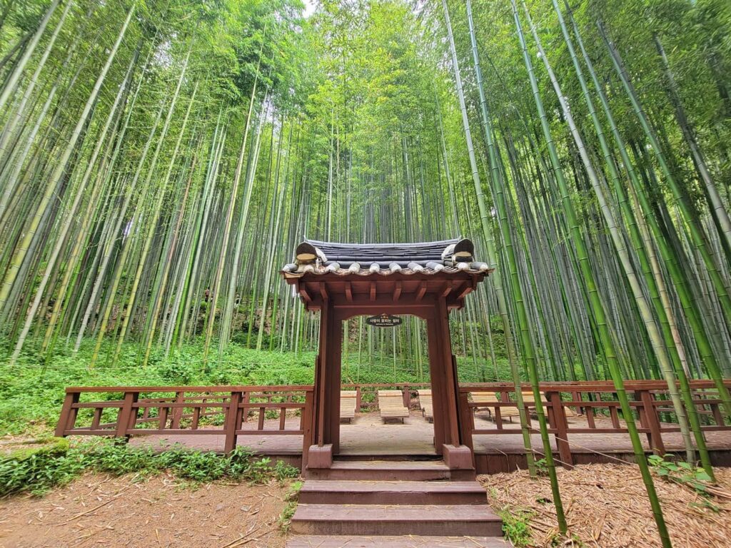 Damyang: A Tranquil Escape in Nature
