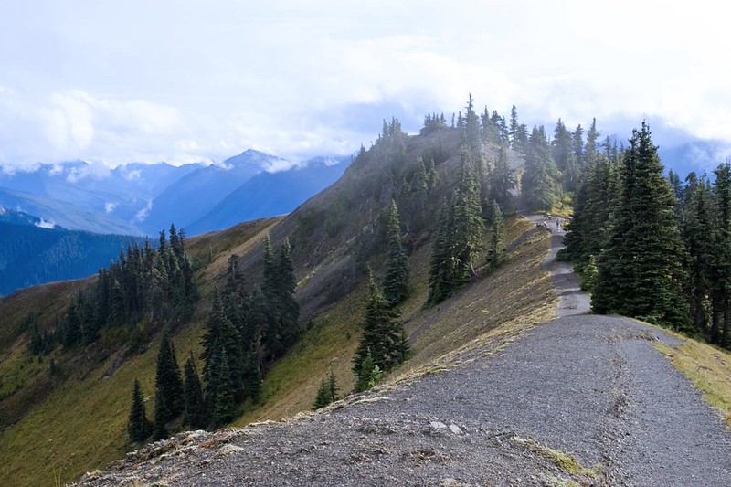 Day 1 – Exploring Hurricane Ridge (177 Miles)
