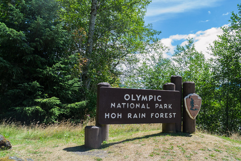 Day 3 – Immersed in the Hoh Rainforest (120 Miles)