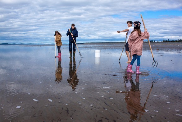 Dig for Clams