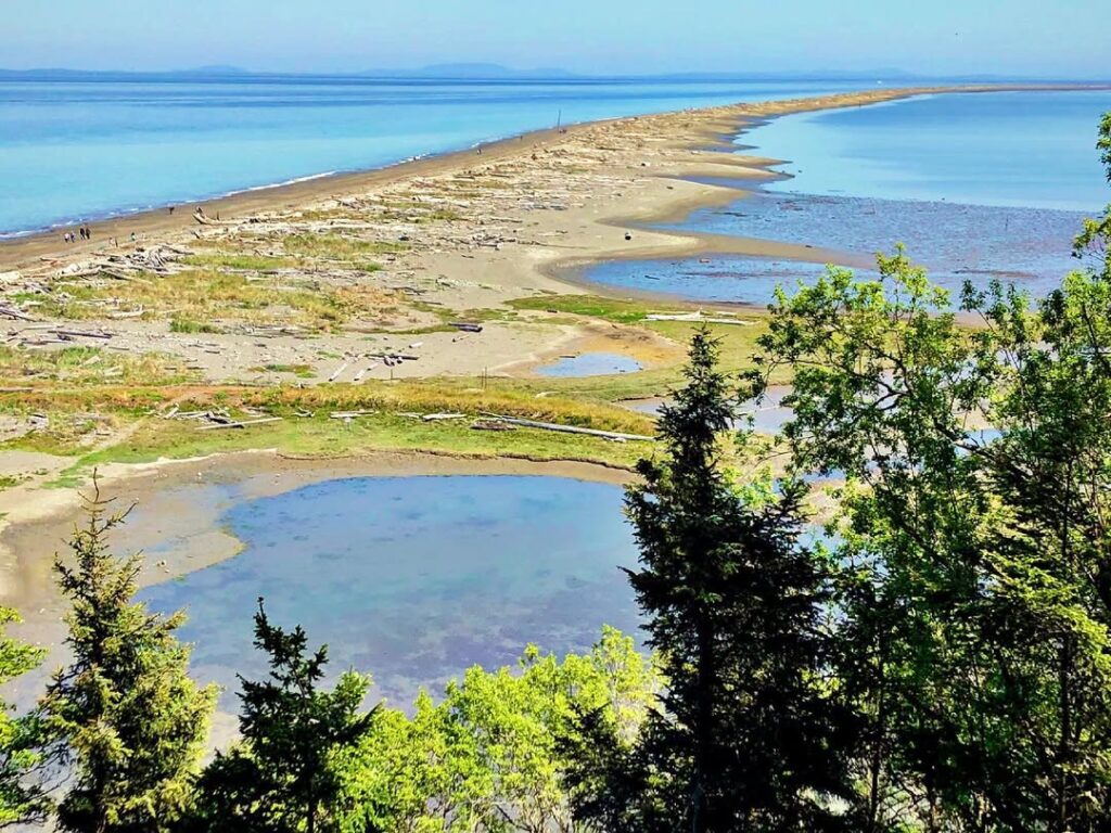 Dungeness Spit