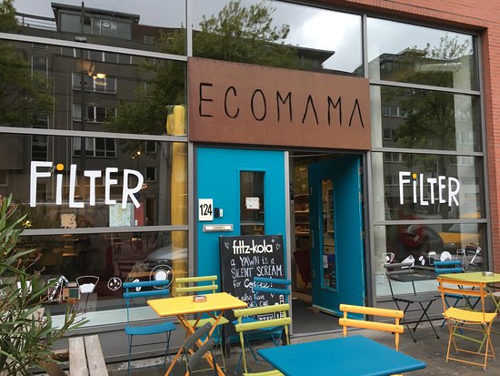 Ecomama Hostel: A Stylish and Eco-Conscious Stay in Amsterdam
