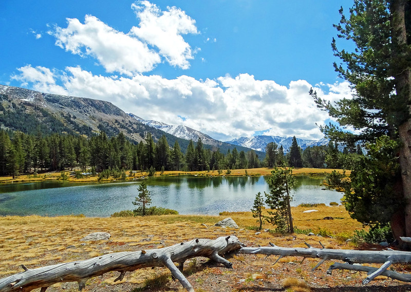 Ellery Lake, Yosemite NP