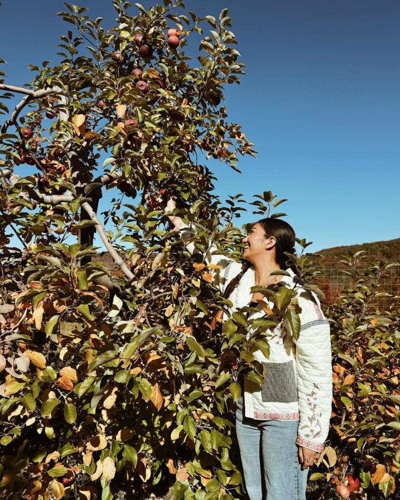 Enjoy apple picking.