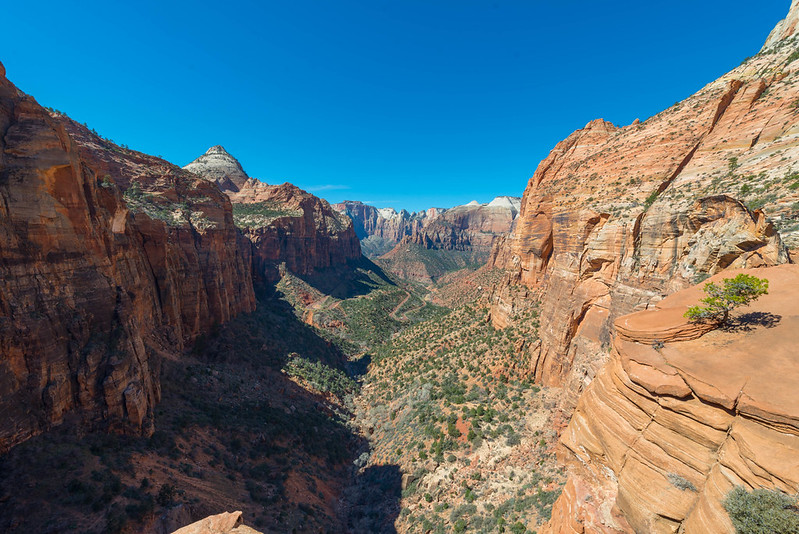 Essential Tips for Your 2 Days in Zion National Park
