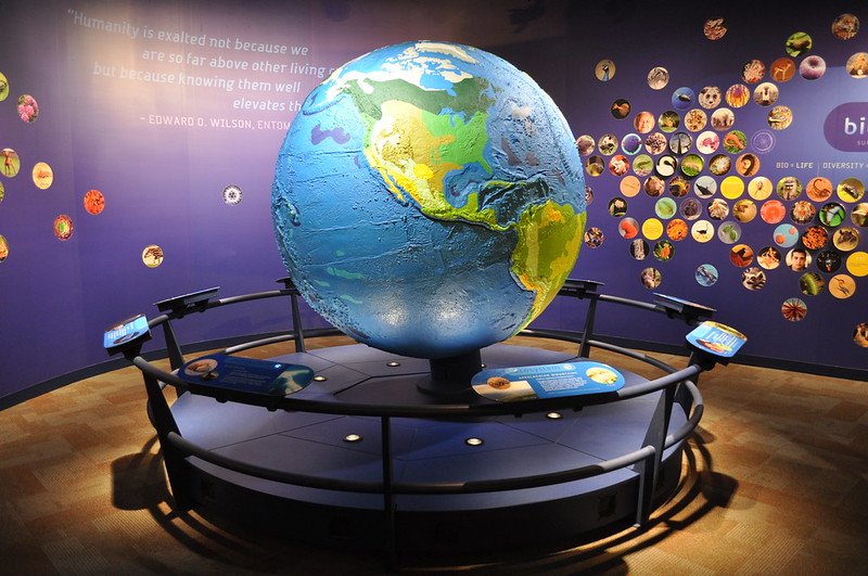 Explore the Wonders at Discovery Place