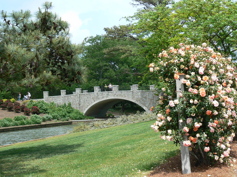 Exploring Norfolk Botanical Garden – A Sanctuary for All Seasons