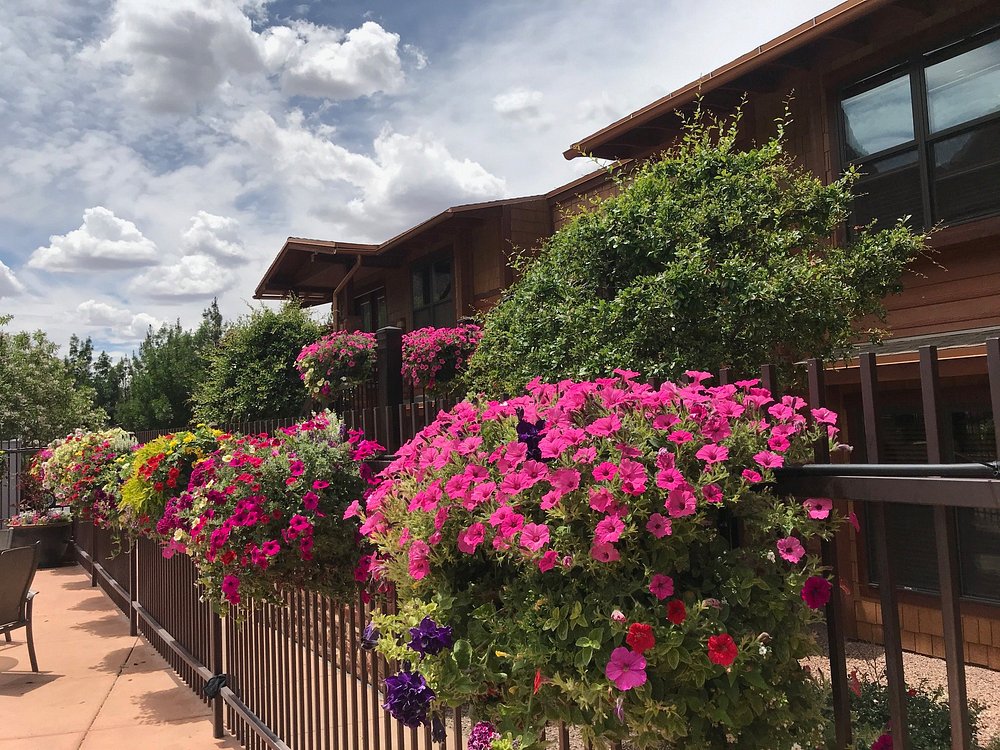 Family-Friendly Lodging Near Zion National Park