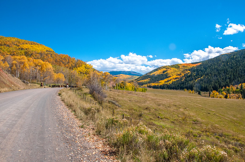 Flat Tops Trail