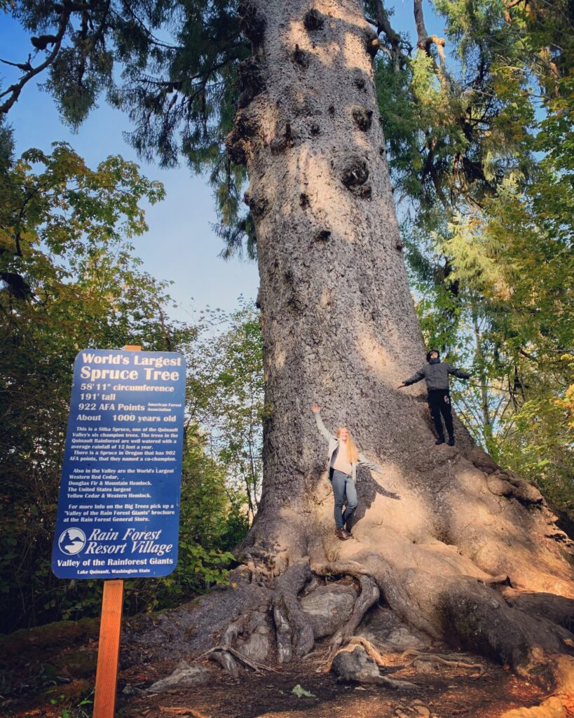Gazing at the Giants