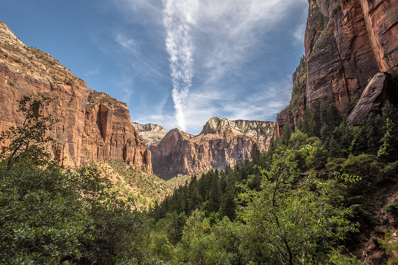 Getting Around Zion National Park
