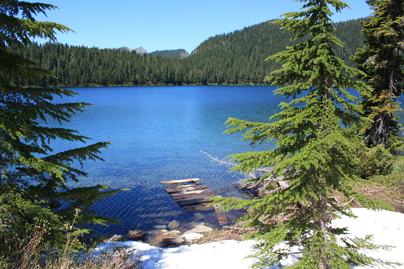 Getting to Mount Rainier National Park