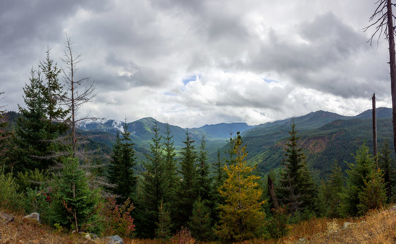 Gifford Pinchot Forest