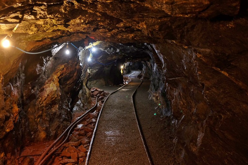 Gold Mine