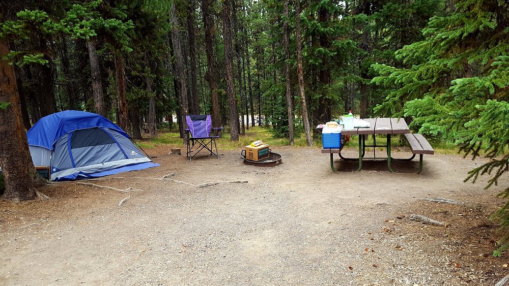 Grant Village Campground Overview