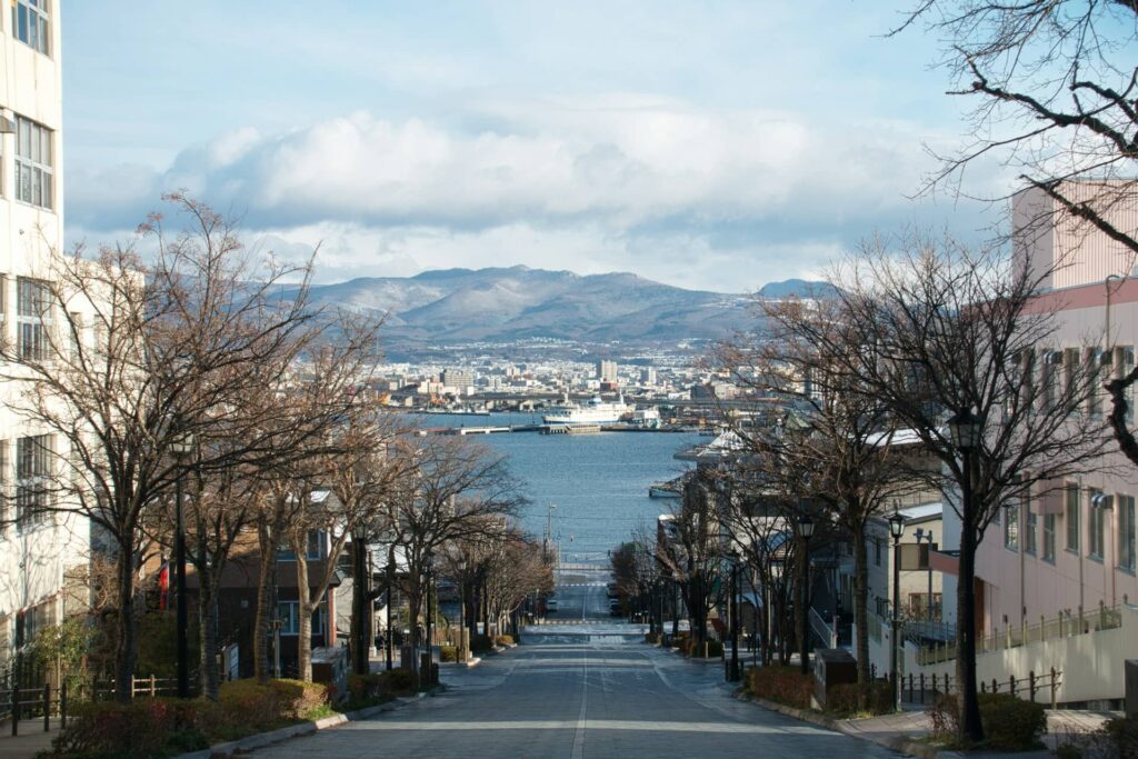 Hakodate city