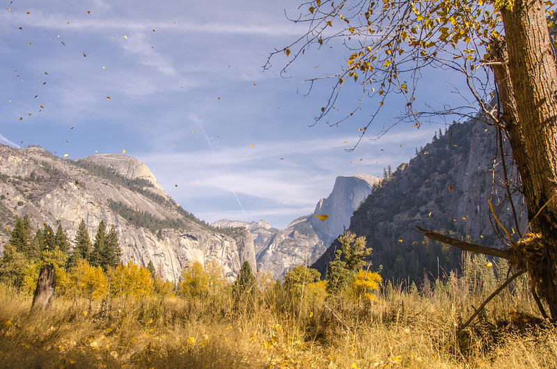 Half Dome Fall