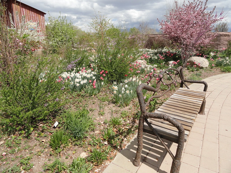 Heritage Farm Bench and Barn, ABQ Biopark