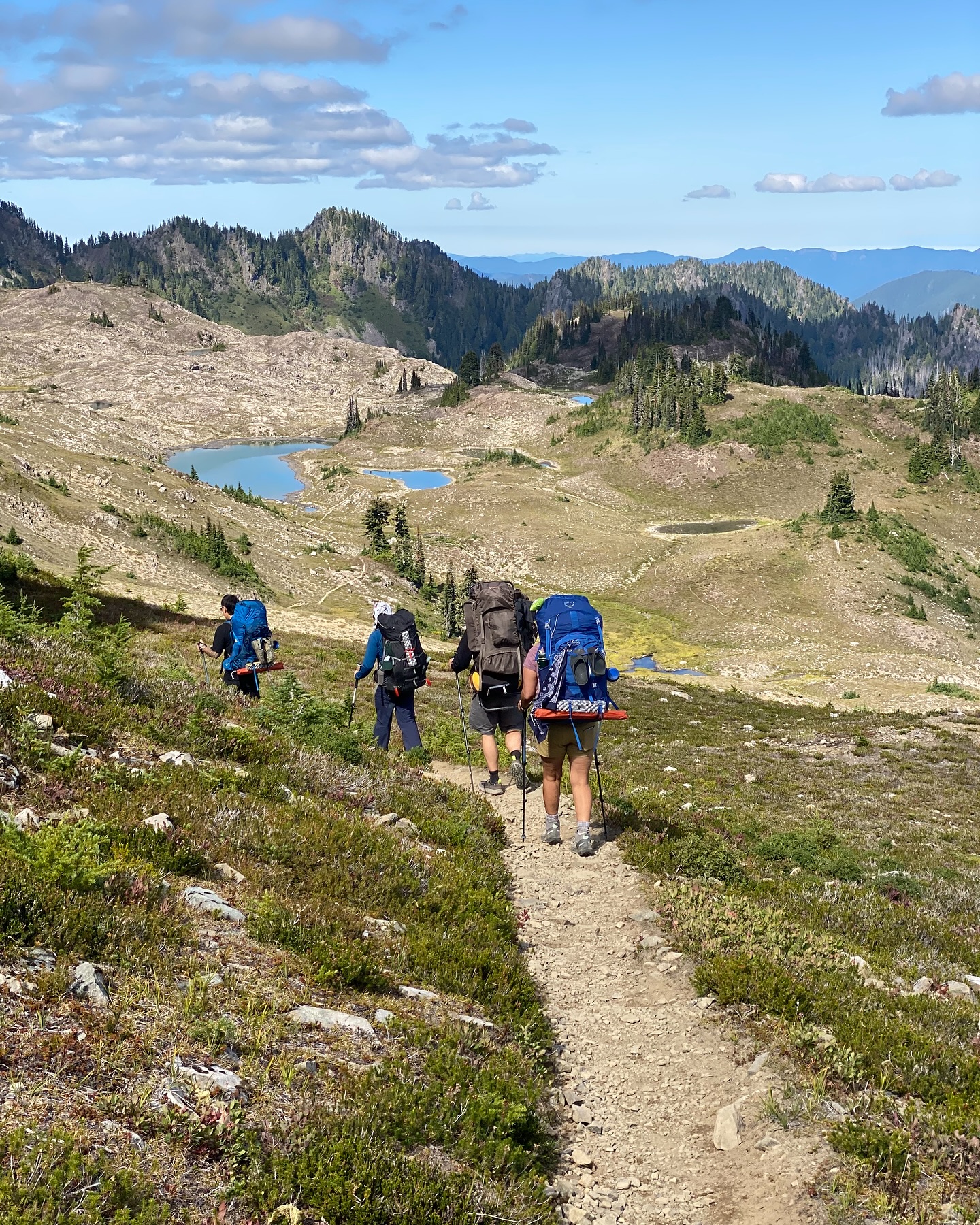 Hiking in Olympic National Park