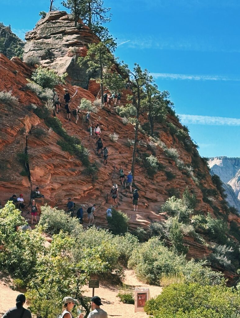 Hiking to Scout’s Lookout