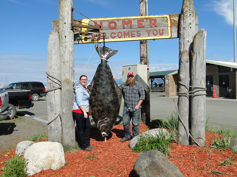 Homer, Alaska: Big Views and a Harbor Full of Character