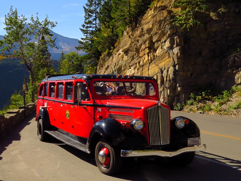 Hop Aboard the Iconic Red Bus Tours