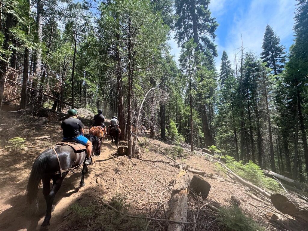 Horseback Riding