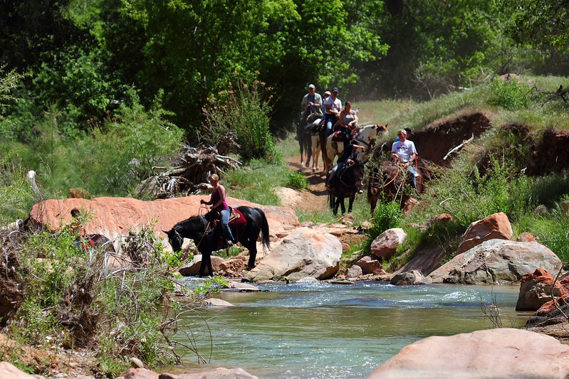Horseback Riding: Explore Zion Like the Pioneers