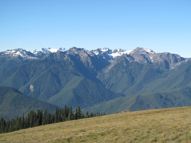 Hurricane Hill