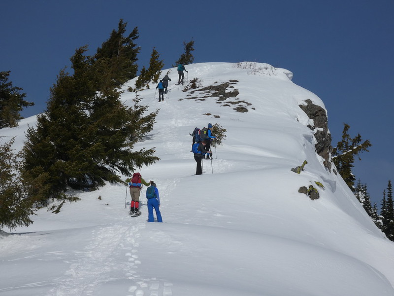 Hurricane Hill Snowshoe