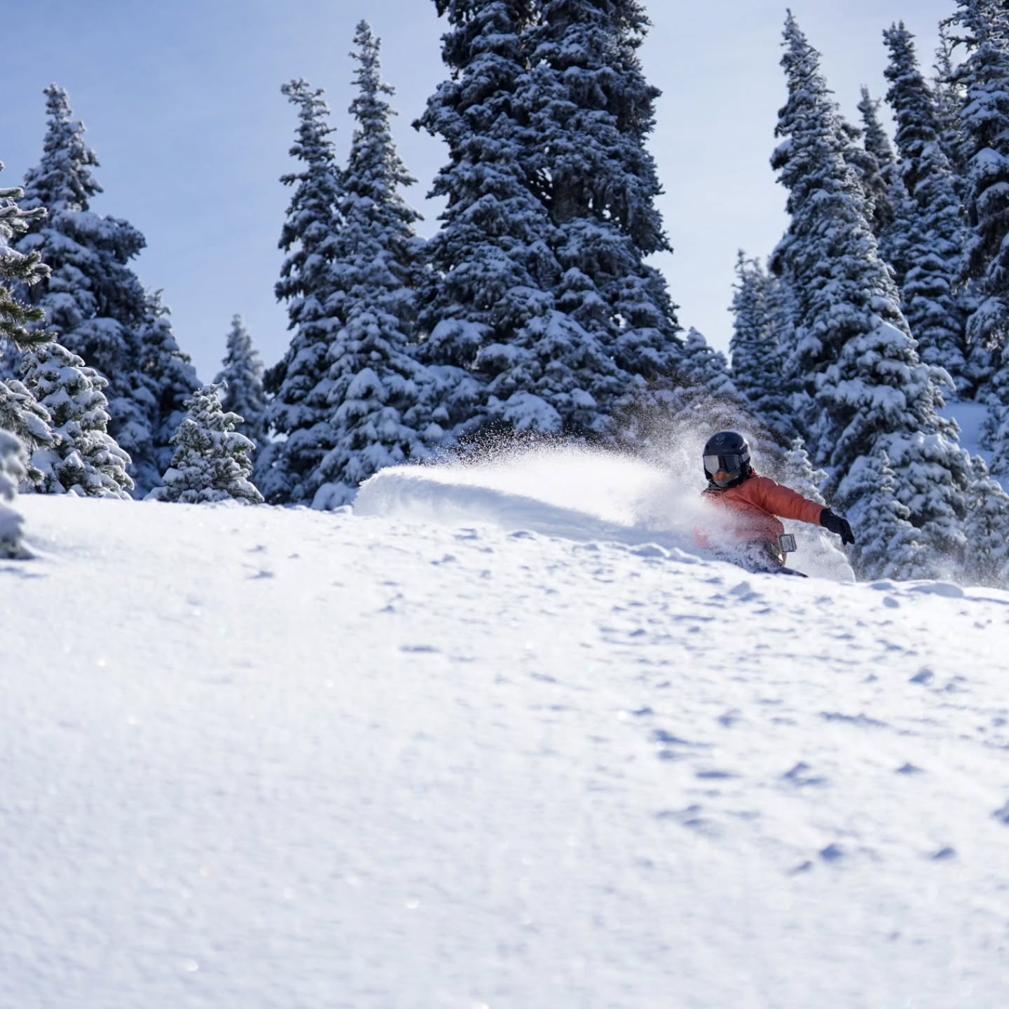 Hurricane Ridge ski