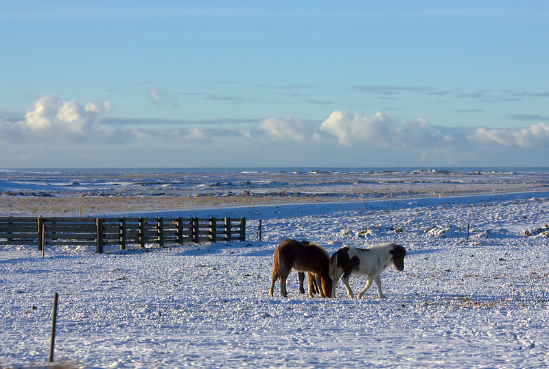Iceland South Coast