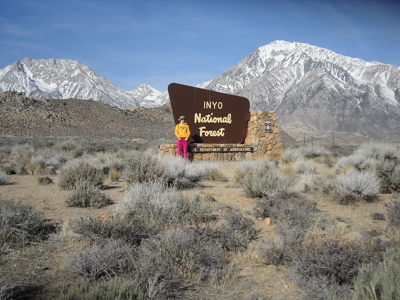 Inyo National Forest
