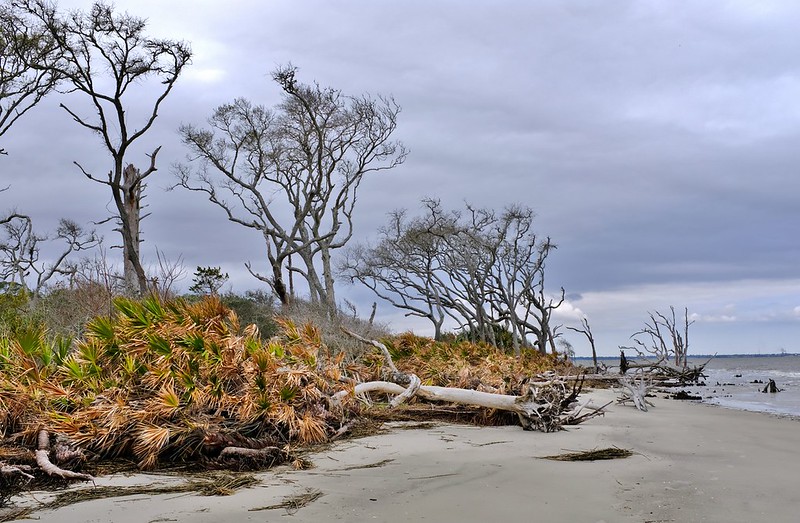 Jekyll Island