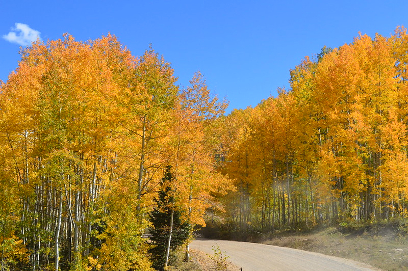 Kebler Pass near Crested Butte