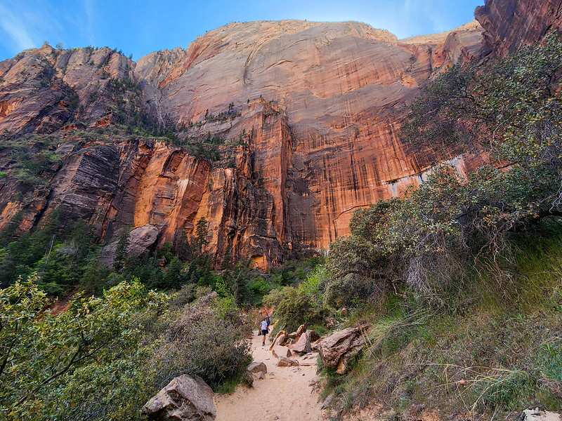 Key Information for Hiking in Zion