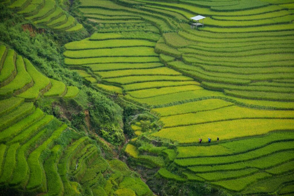 Khau Phạ Pass, Vietnam