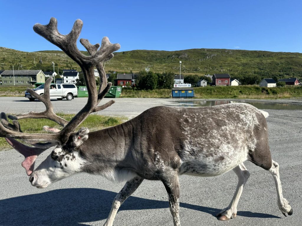 Kvalsund