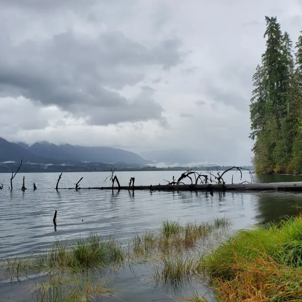 Lake Quinault