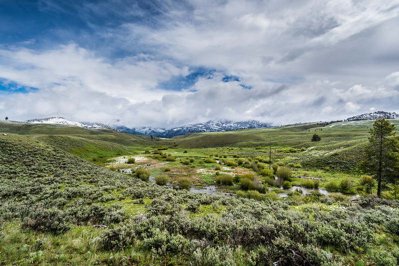 Lamar Valley Drive