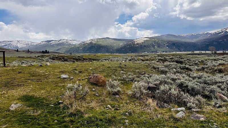 Lamar Valley