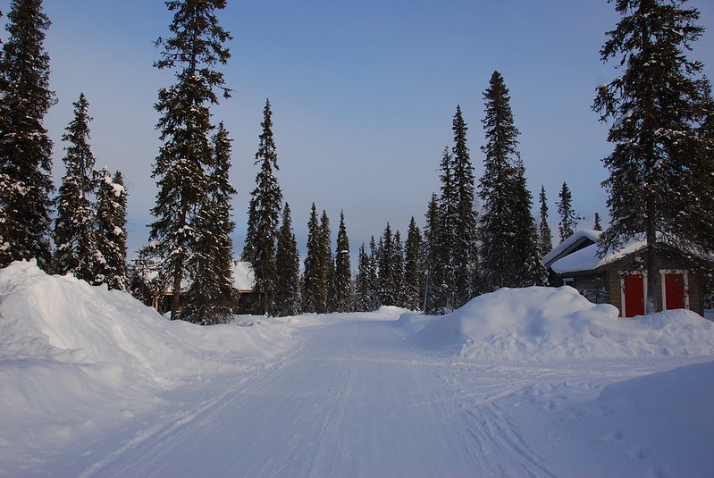 Lapland in October: Northern Lights, Quiet Landscapes, and Crisp Evenings