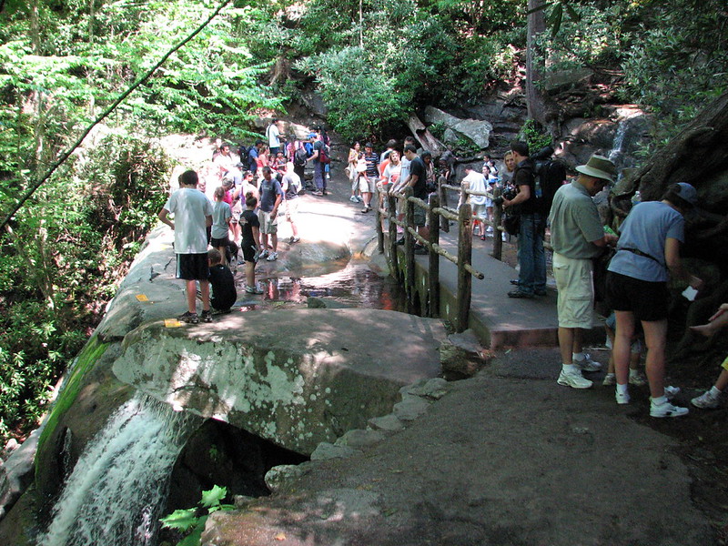 Laurel Falls Trail