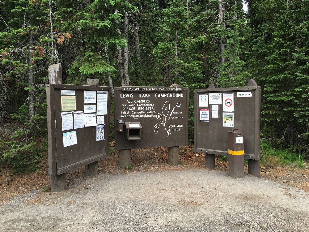 Lewis Lake Campground Overview